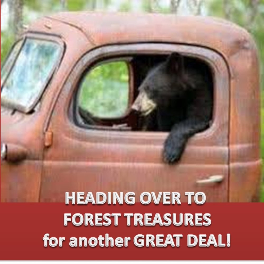 HOP IN! We Can "BEARLY" wait to start shopping!